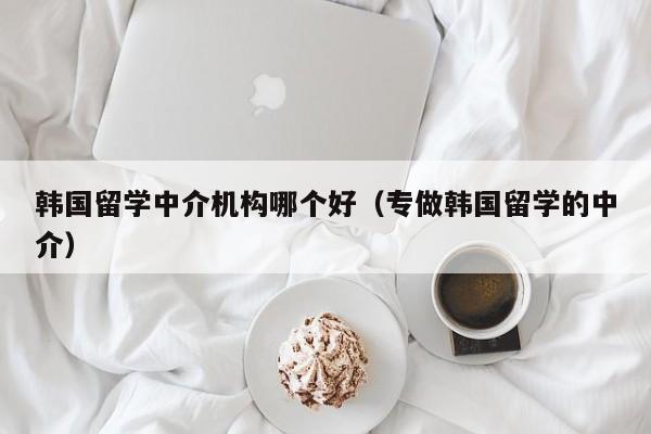 韩国留学中介机构哪个好（专做韩国留学的中介）