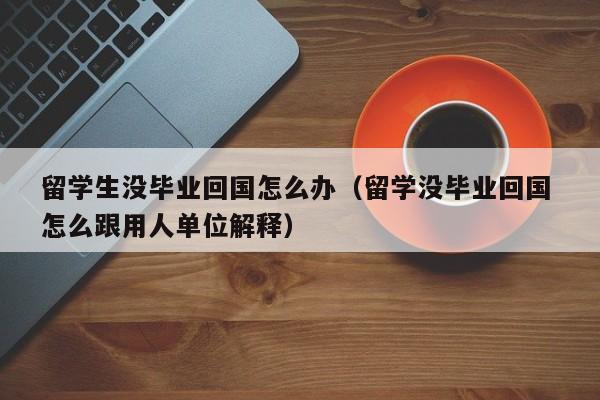 留学生没毕业回国怎么办（留学没毕业回国 怎么跟用人单位解释）