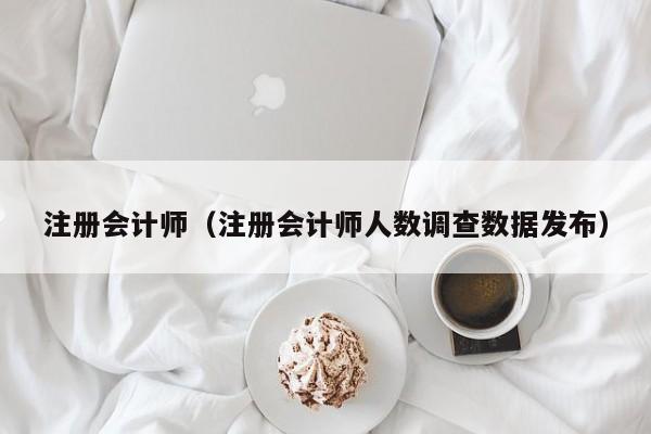 注册会计师（注册会计师人数调查数据发布）