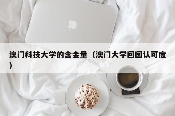 澳门科技大学的含金量（澳门大学回国认可度）