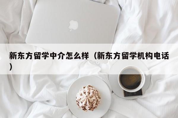 新东方留学中介怎么样（新东方留学机构电话）