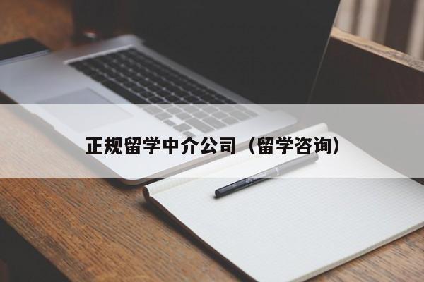 正规留学中介公司（留学咨询）