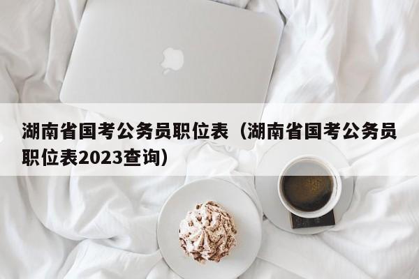 湖南省国考公务员职位表（湖南省国考公务员职位表2023查询）
