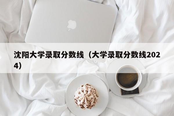 沈阳大学录取分数线（大学录取分数线2024）