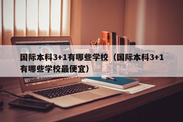 国际本科3+1有哪些学校（国际本科3+1有哪些学校最便宜）